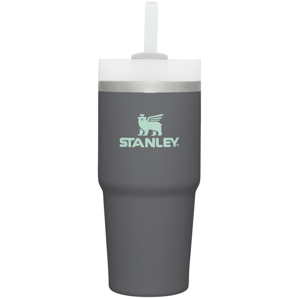 The Quencher H2.0 FlowState™ Tumbler  | 14 OZ - Stanley Create - Daily Bottle Energy