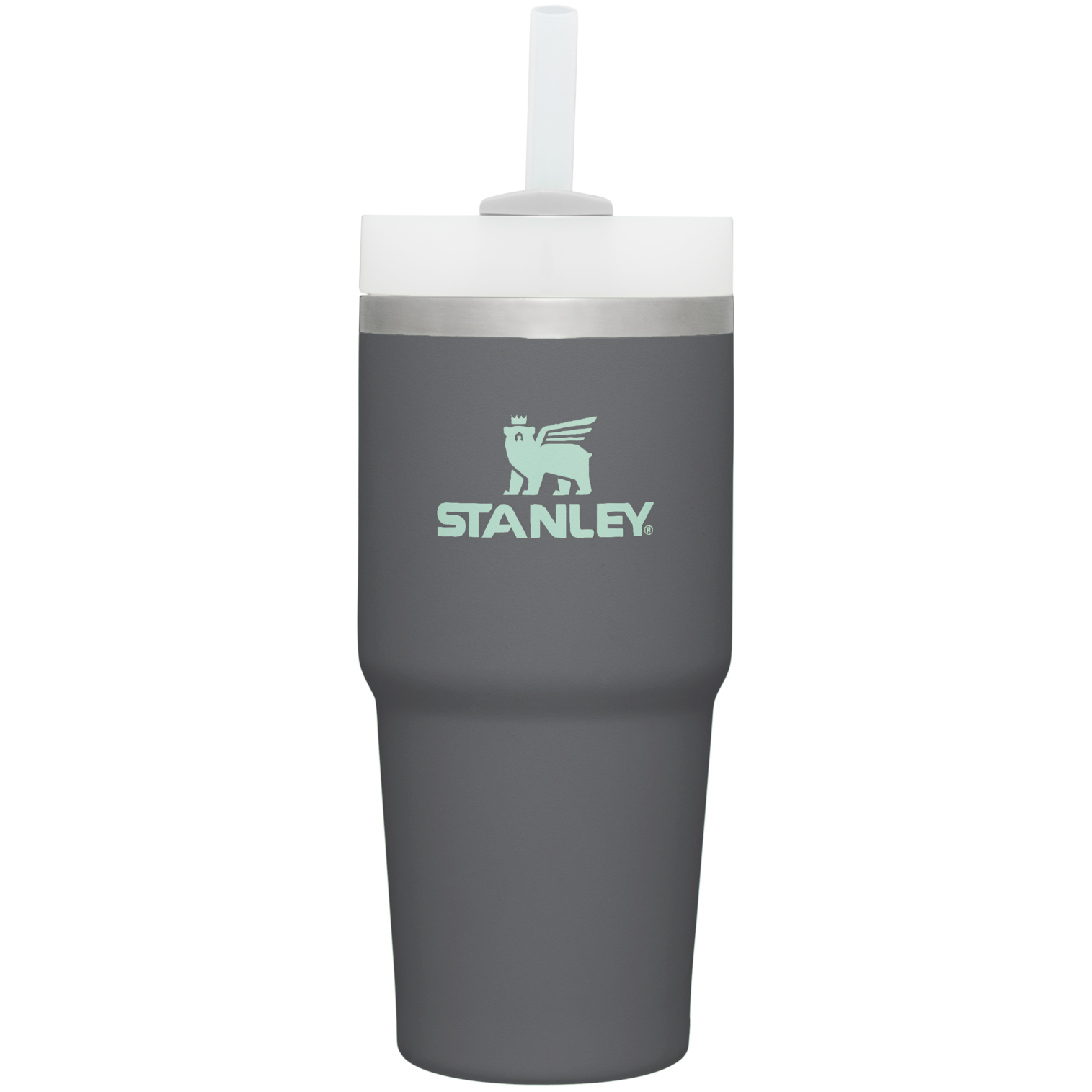 The Quencher H2.0 FlowState™ Tumbler  | 14 OZ - Stanley Create - Daily Bottle Energy