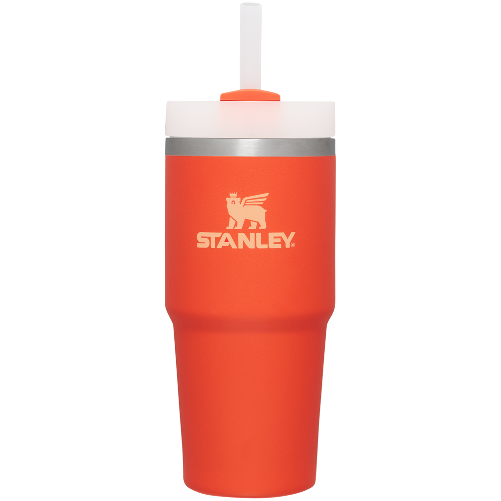 The Quencher H2.0 FlowState™ Tumbler  | 14 OZ - Stanley Create - Daily Bottle Energy