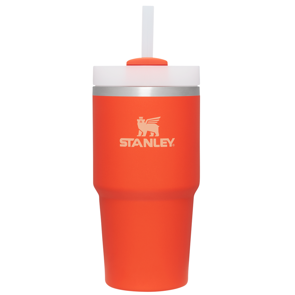 The Quencher H2.0 FlowState™ Tumbler | 20 OZ - Everyday Water Gear
