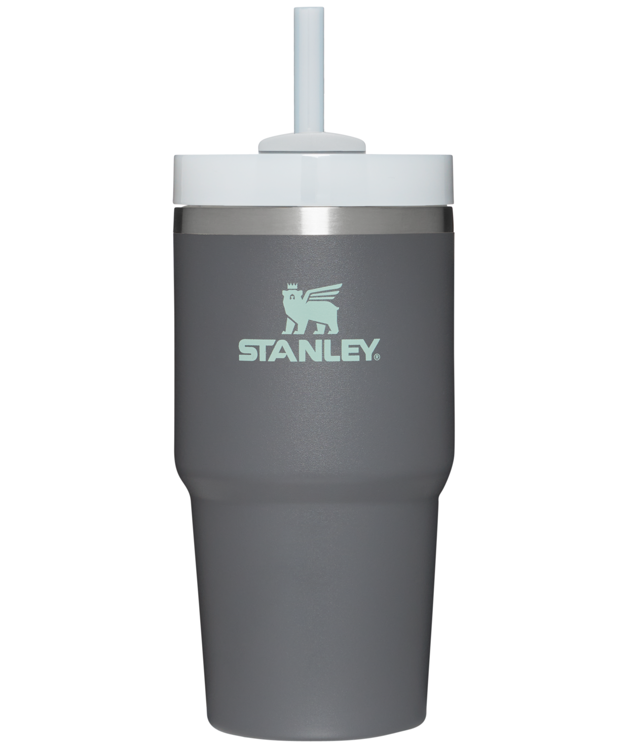 The Quencher H2.0 FlowState™ Tumbler | 20 OZ - Stanley Create - Sip the Day