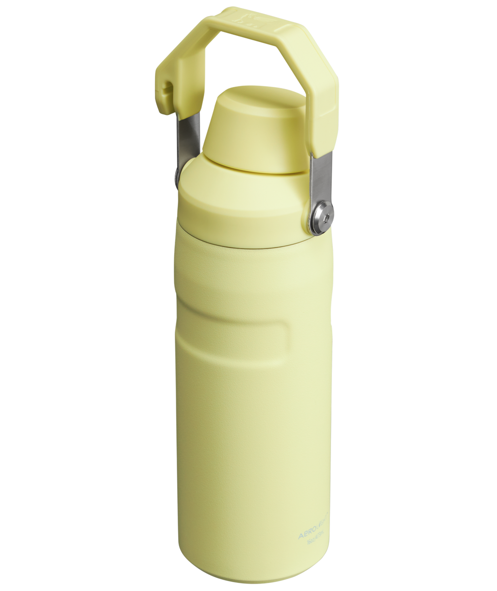 IceFlow™ Bottle with Fast Flow Lid | 16 OZ - Stanley for Gym