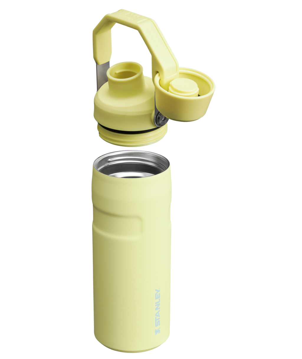 IceFlow™ Bottle with Fast Flow Lid | 16 OZ - Stanley for Gym