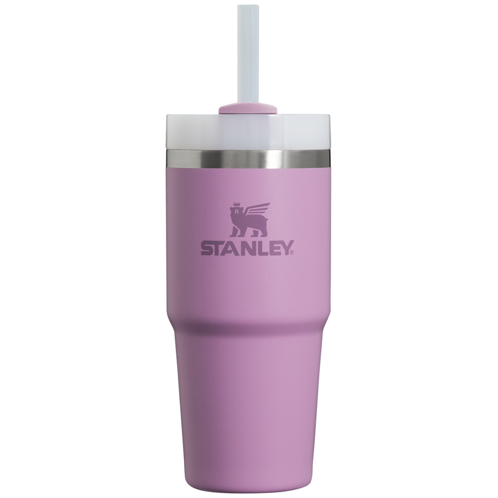The Quencher H2.0 FlowState™ Tumbler  | 14 OZ - Stanley for Busy Days