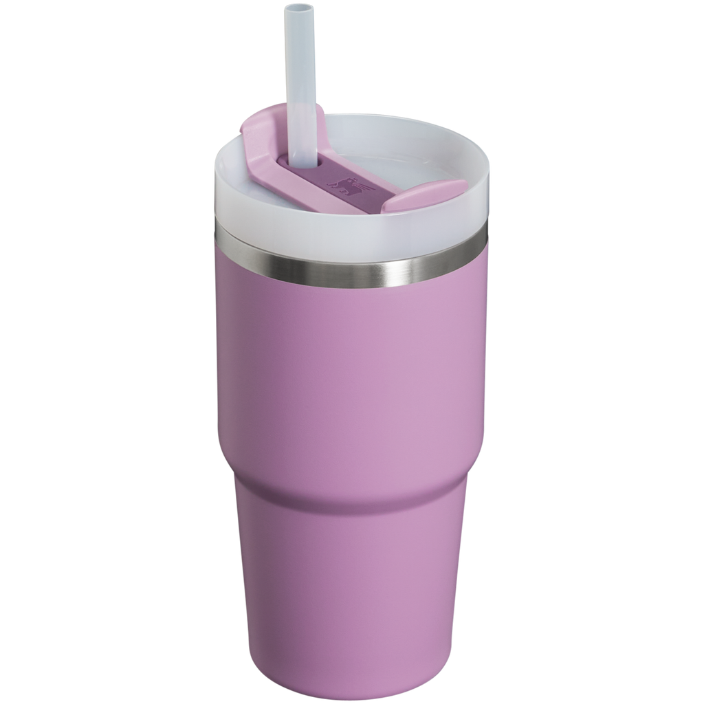 The Quencher H2.0 FlowState™ Tumbler | 20 OZ - Stanley Create - Sip the Day