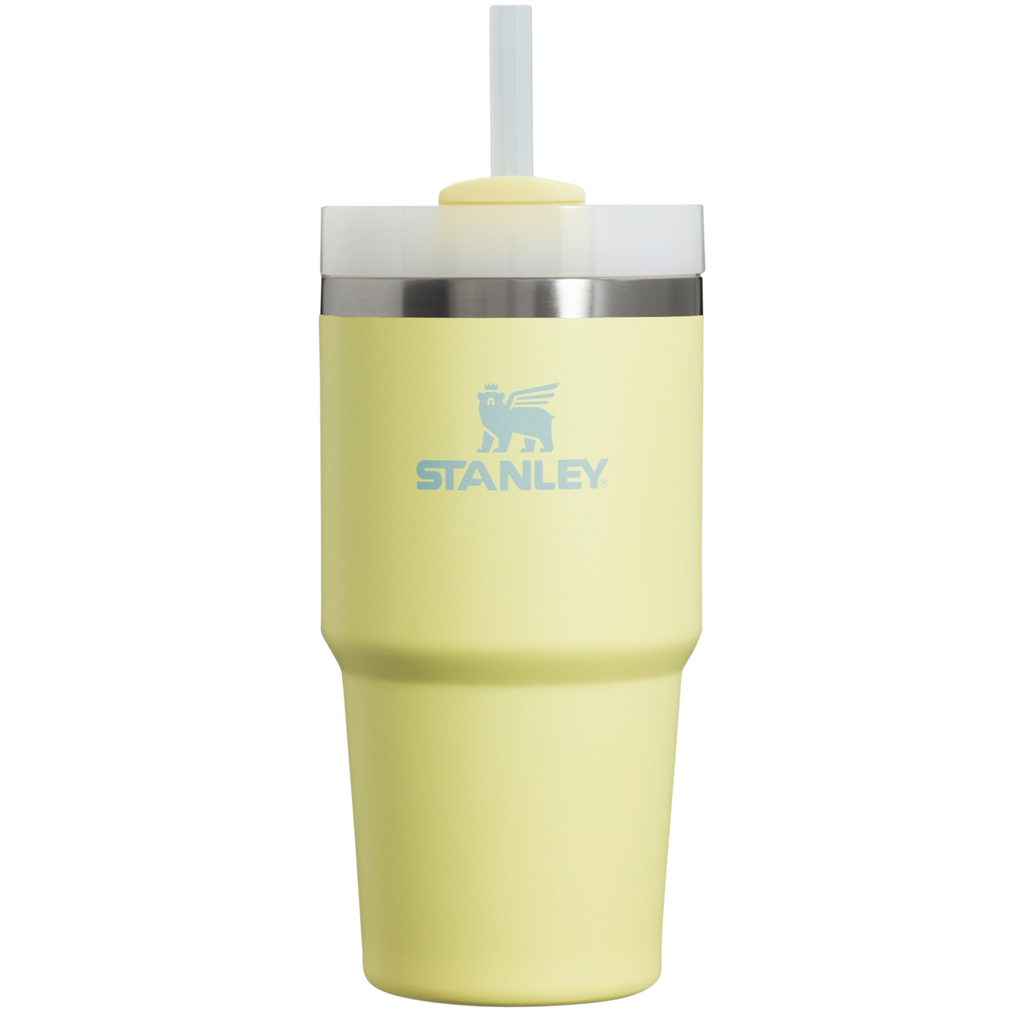 The Quencher H2.0 FlowState™ Tumbler | 20 OZ - Stanley Create - Sip the Day