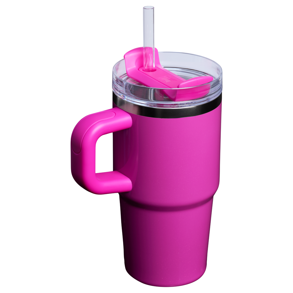 The Quencher H2.O FlowState™ Tumbler with Handle | 20 OZ - Stanley Create - Carry. Sip. Refill.
