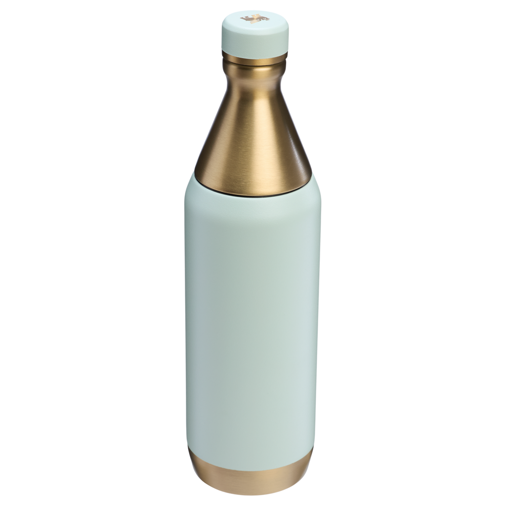 All Day Slim Bottle | 20 OZ - Stanley Create - Drinkware Essentials