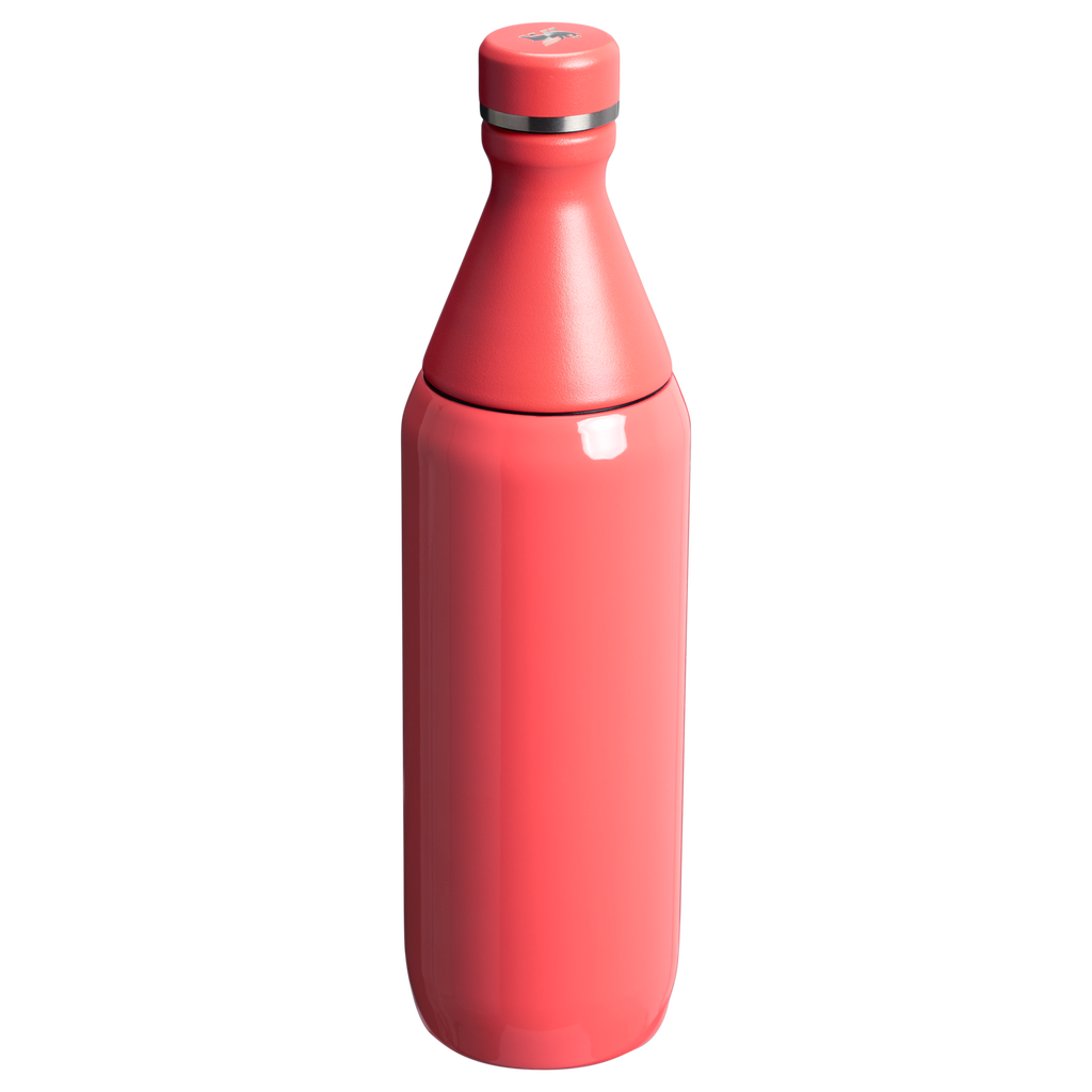All Day Slim Bottle | 20 OZ - Stanley Create - Drinkware Essentials