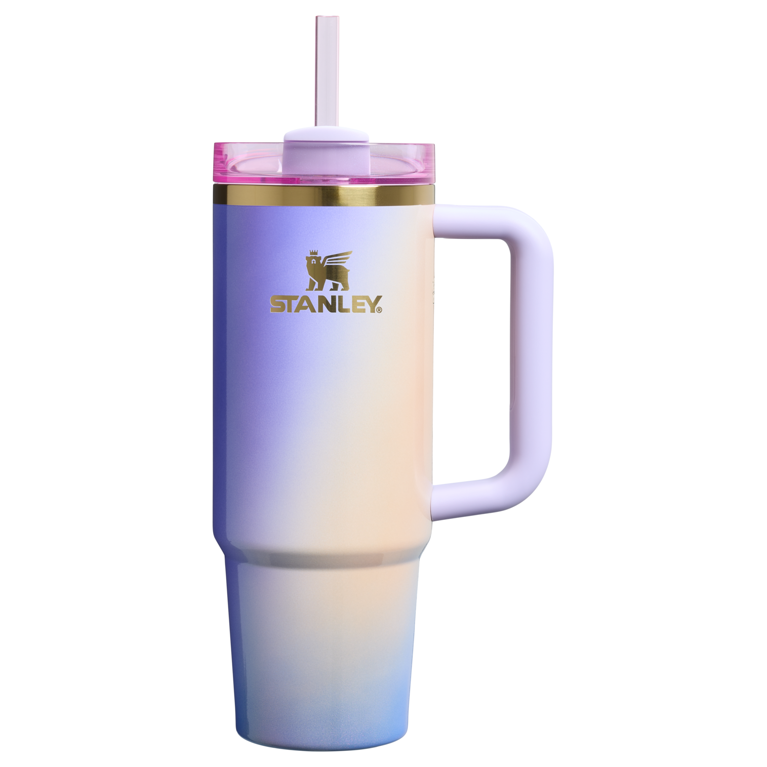 The Wicked for Good Quencher® H2.0 FlowState™ Tumbler | 30 OZ - Ready for Walks
