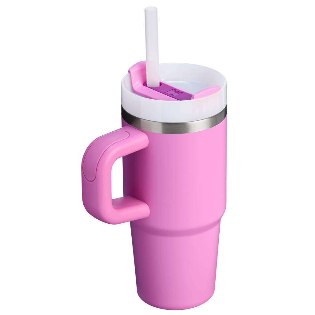 The Quencher H2.O FlowState™ Tumbler | 14 OZ - Stanley Create - Cup Ready Daily