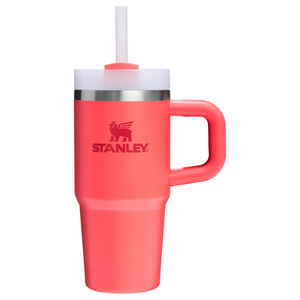 The Quencher H2.O FlowState™ Tumbler | 14 OZ - Stanley Create - Cup Ready Daily