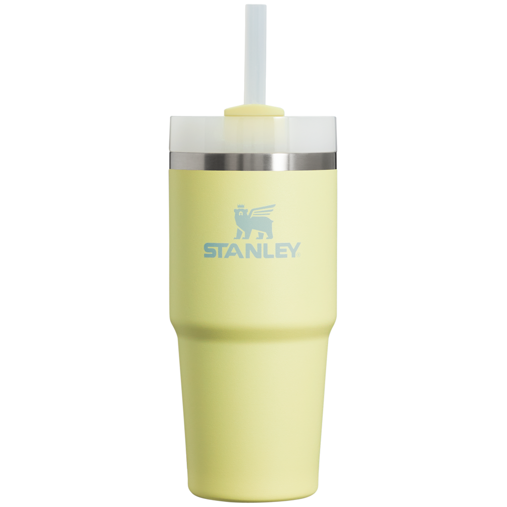 The Quencher H2.0 FlowState™ Tumbler  | 14 OZ - Stanley for Busy Days