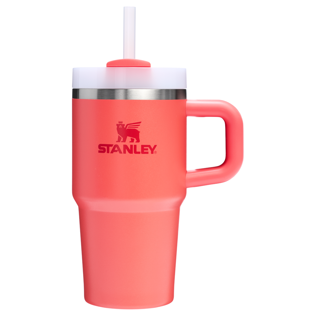 The Quencher H2.O FlowState™ Tumbler with Handle | 20 OZ - Stanley Create - Carry. Sip. Refill.
