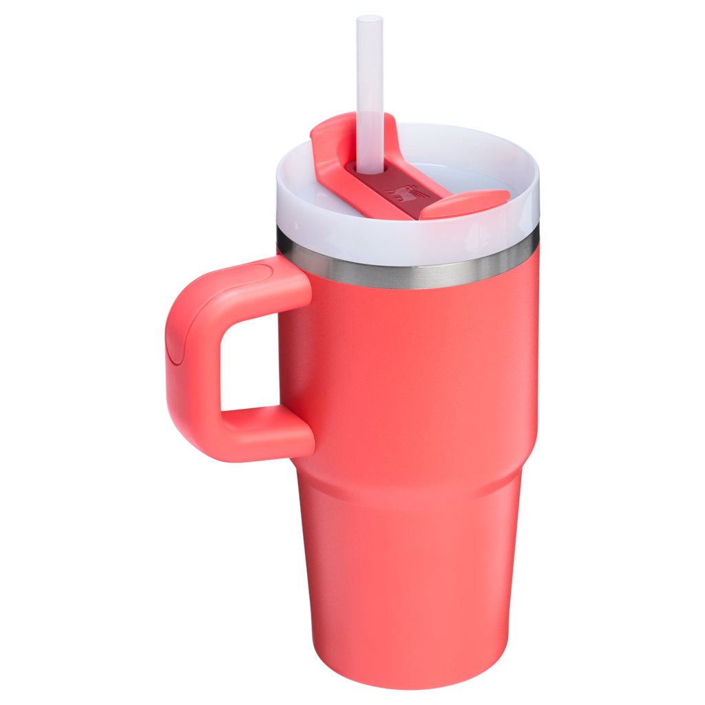 The Quencher H2.O FlowState™ Tumbler with Handle | 20 OZ - Stanley Create - Carry. Sip. Refill.