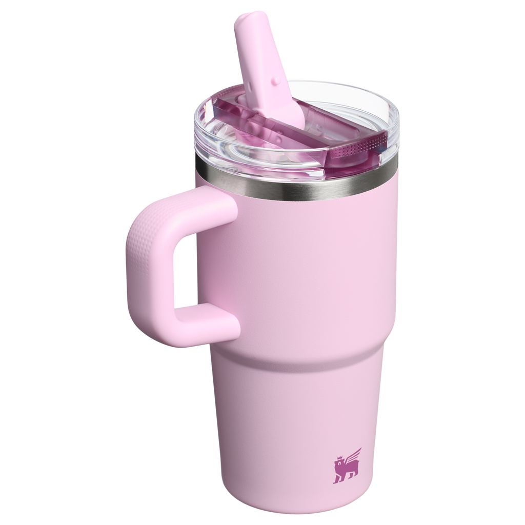 The Quencher ProTour Flip Straw Tumbler | 20 OZ - Hydrate the Day