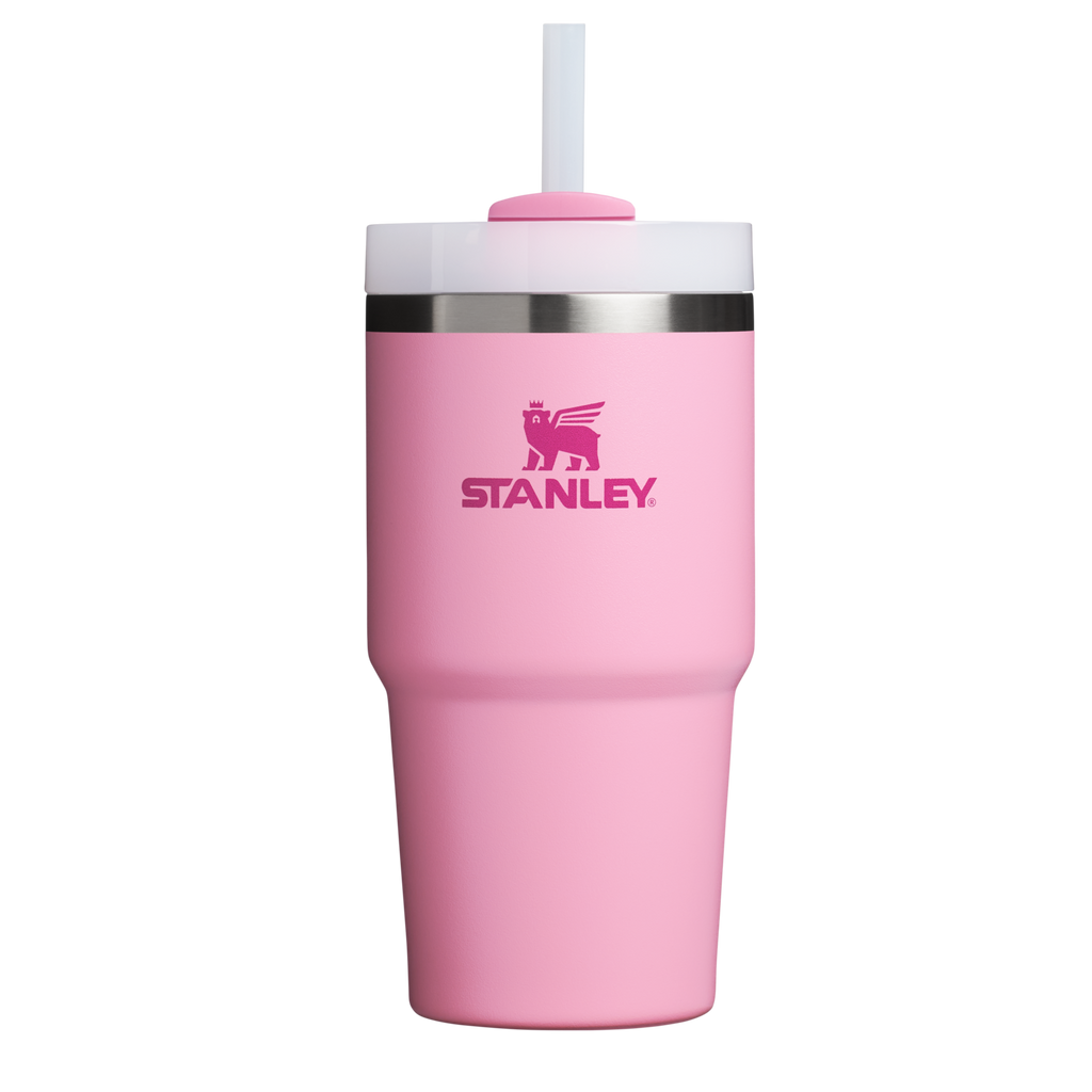 The Quencher H2.0 FlowState™ Tumbler | 20 OZ - Stanley Create - Sip the Day