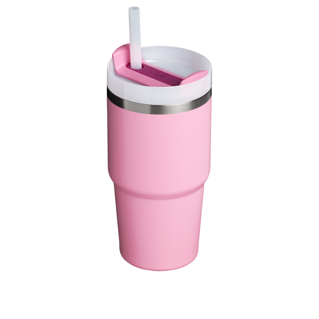 The Quencher H2.0 FlowState™ Tumbler | 20 OZ - Stanley Create - Sip the Day