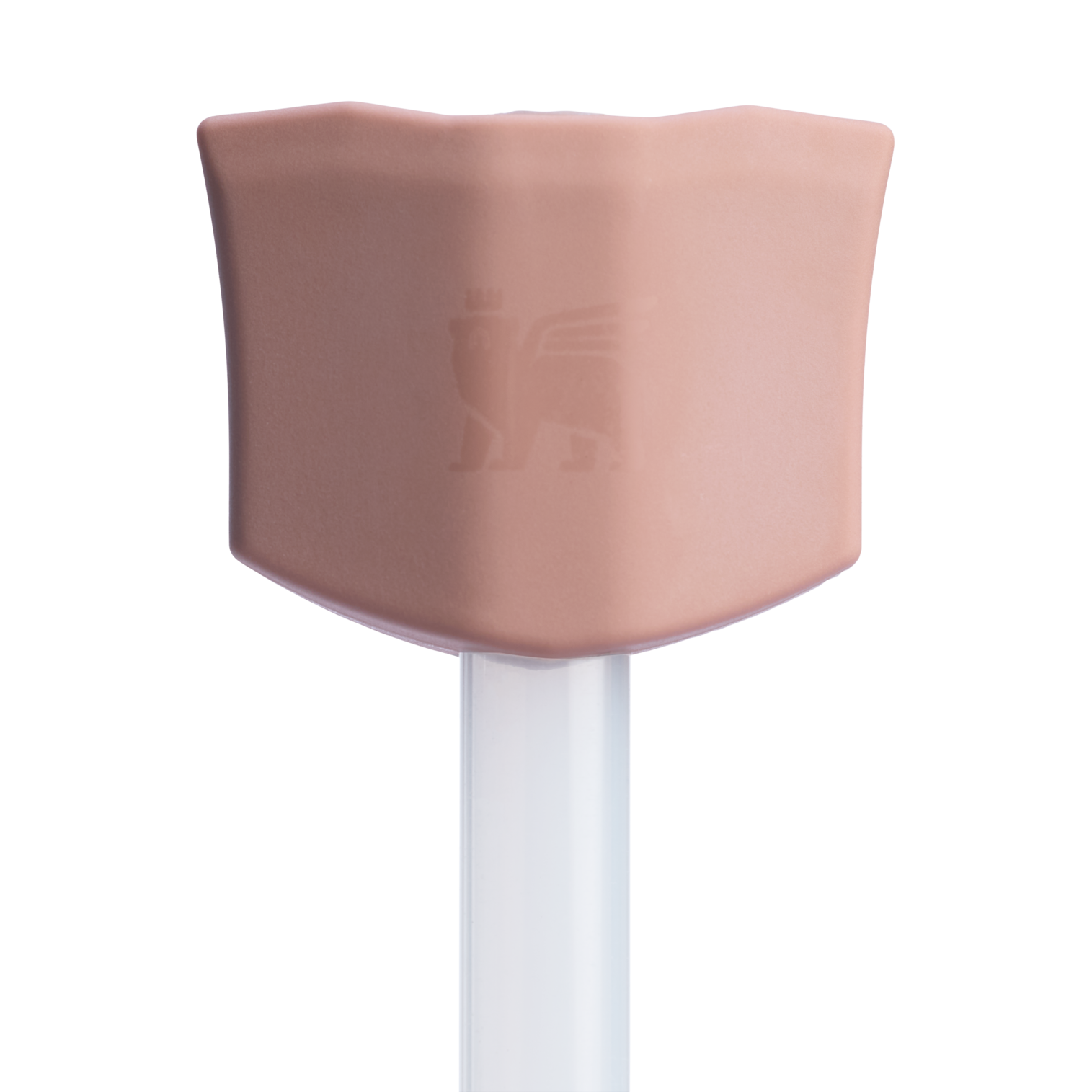 The Stay Smooth Straw Topper | 2-pack - Water Within Reach