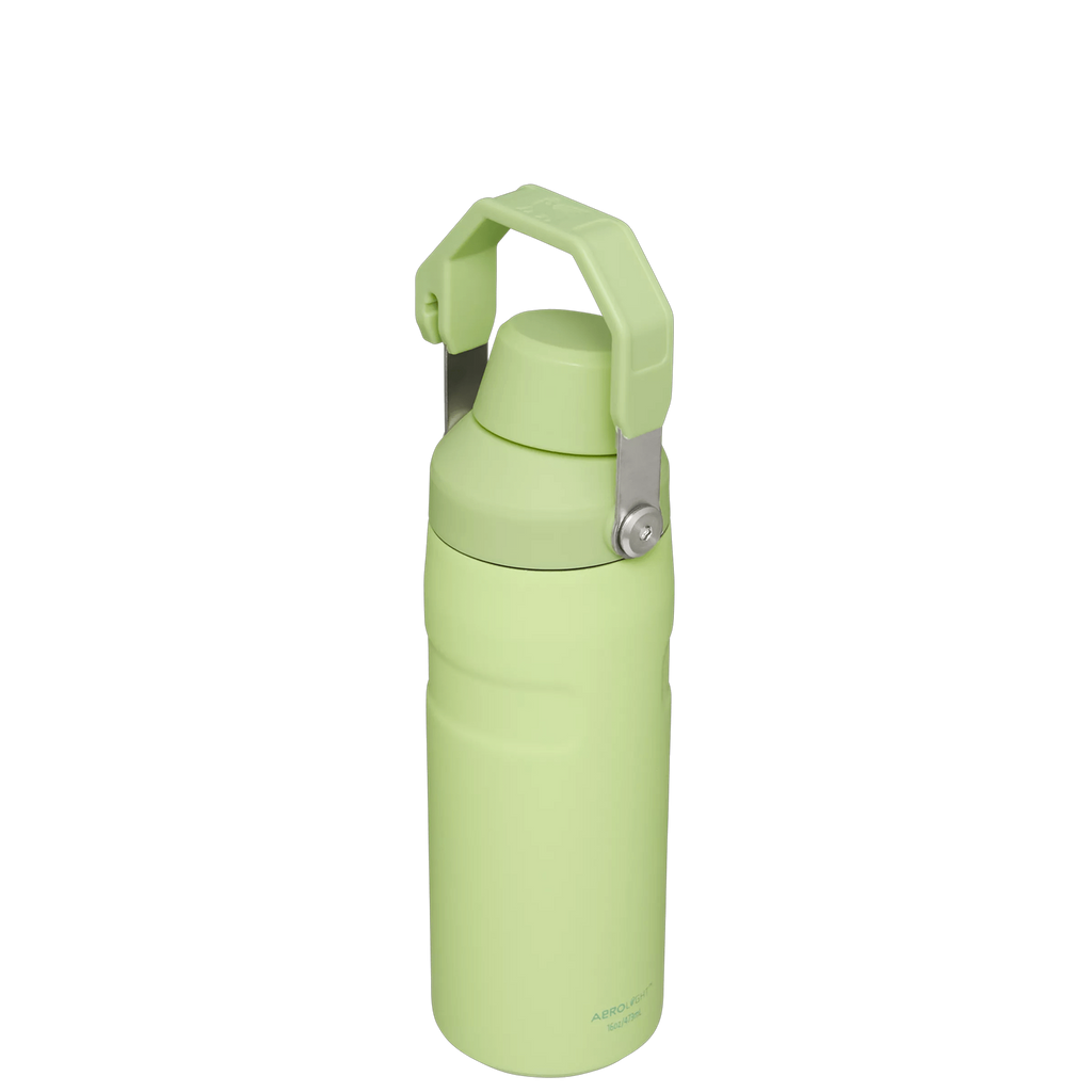 IceFlow™ Bottle with Fast Flow Lid | 16 OZ - Stanley for Gym