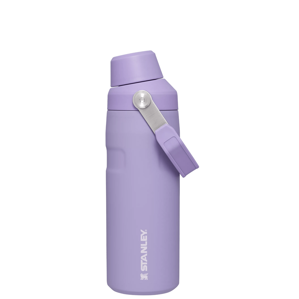 IceFlow™ Bottle with Fast Flow Lid | 16 OZ - Stanley for Gym