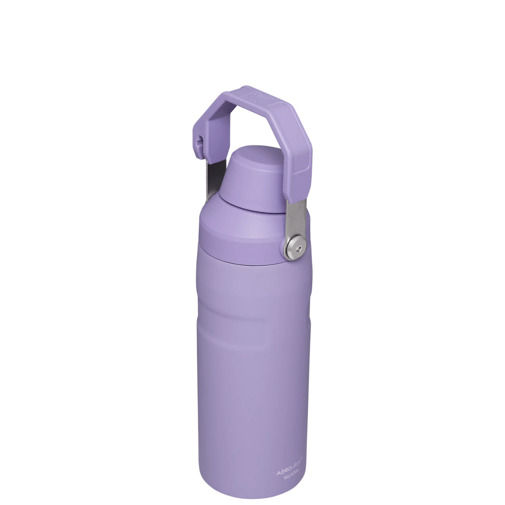 IceFlow™ Bottle with Fast Flow Lid | 16 OZ - Stanley for Gym