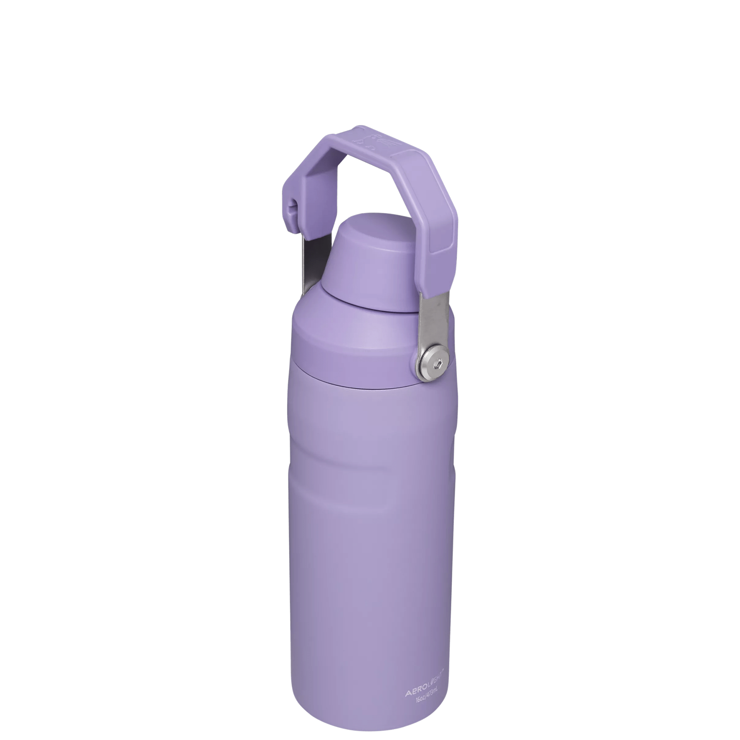IceFlow™ Bottle with Fast Flow Lid | 16 OZ - Stanley for Gym