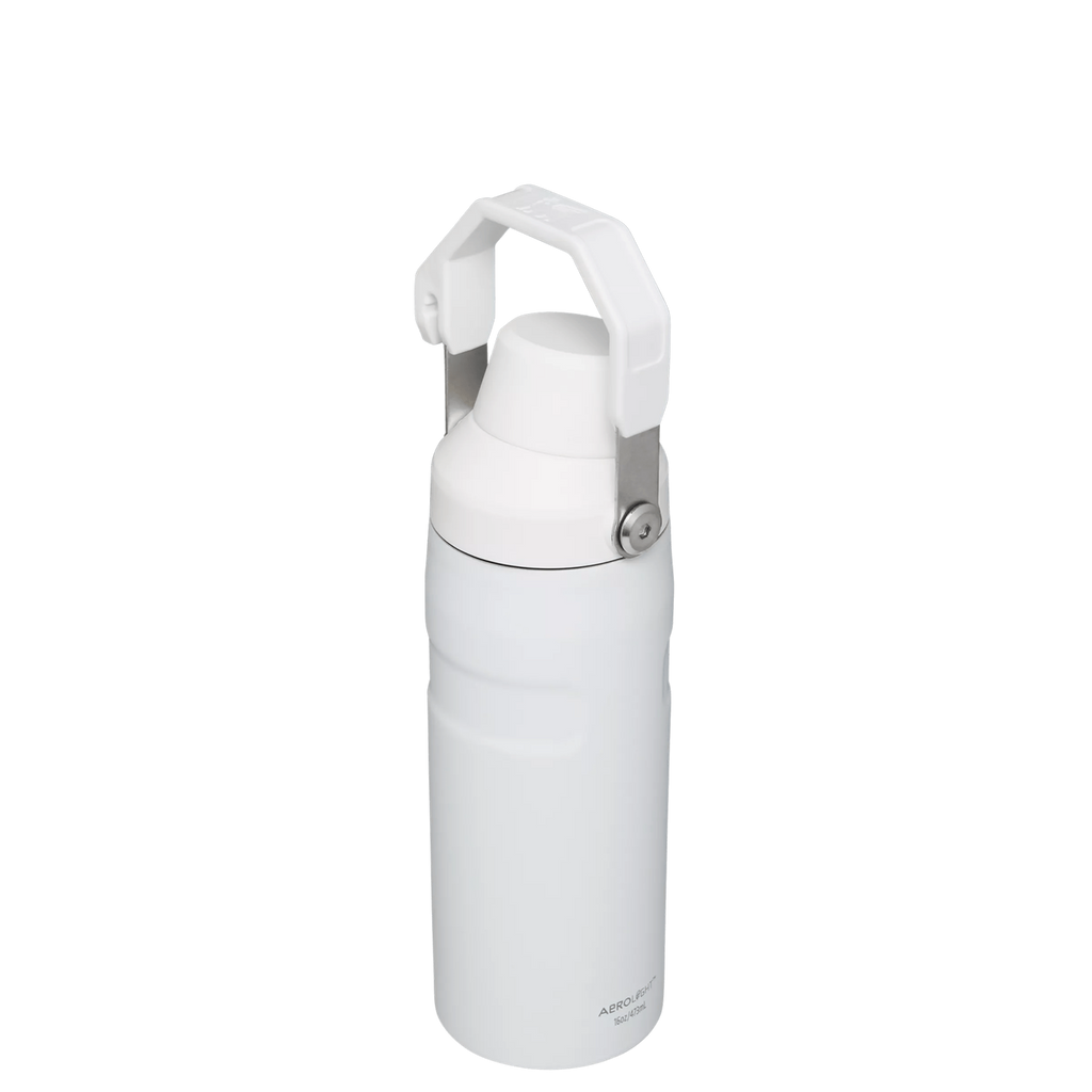 IceFlow™ Bottle with Fast Flow Lid | 16 OZ - Stanley for Gym