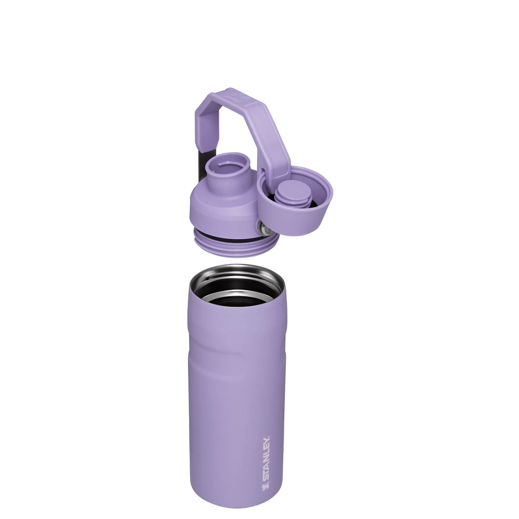 IceFlow™ Bottle with Fast Flow Lid | 16 OZ - Stanley for Gym